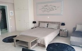 Brand New Spacious Studio